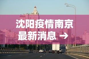 沈阳疫情南京最新消息 → 沈阳南京疫情轨迹