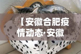 【安徽合肥疫情动态·安徽合肥疫情最新数据消息今天新增】 【安徽合肥疫情动态·安徽合肥疫情最新数据消息今天新增】