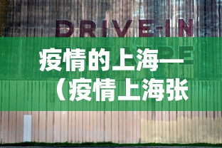 疫情的上海—（疫情上海张文宏）