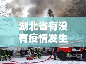 湖北省有没有疫情发生 → 湖北有疫情了?