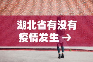 湖北省有没有疫情发生 → 湖北有疫情了?