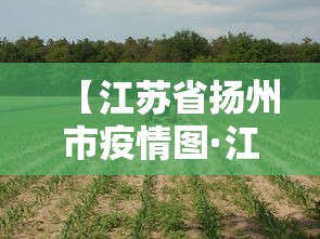 【江苏省扬州市疫情图·江苏省扬州市新冠肺炎最新情况】