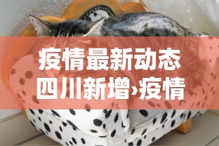 疫情最新动态四川新增›疫情最新数据消息今天新增四川