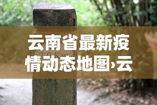 云南省最新疫情动态地图›云南省最新疫情分布图 云南省最新疫情动态地图›云南省最新疫情分布图