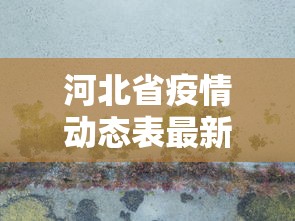 河北省疫情动态表最新 → 河北省疫情动态表最新情况