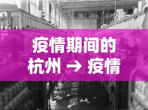疫情期间的杭州 → 疫情期间杭州西湖景区限行吗 疫情期间的杭州 → 疫情期间杭州西湖景区限行吗