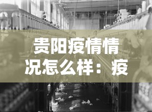 贵阳疫情情况怎么样：疫情 贵阳