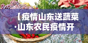 【疫情山东送蔬菜·山东农民疫情开车送菜】