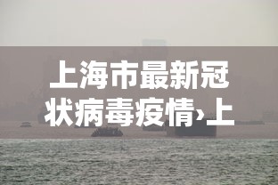 上海市最新冠状病毒疫情›上海市最新冠状病毒疫情情况