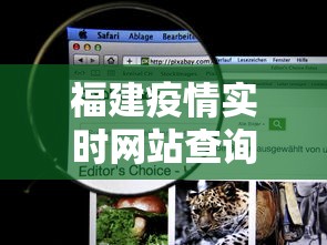 福建疫情实时网站查询—（福建省疫情实时）