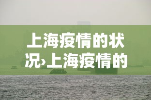 上海疫情的状况›上海疫情的最新进展