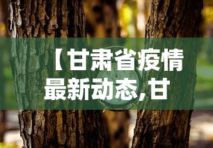 【甘肃省疫情最新动态,甘肃省疫情最新消息分布】