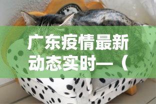 广东疫情最新动态实时—（广东疫情情最新数据消息）