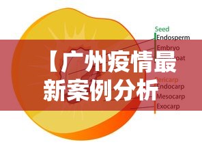 【广州疫情最新案例分析图,广州疫情新增案例】 【广州疫情最新案例分析图,广州疫情新增案例】