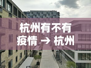 杭州有不有疫情 → 杭州有疫情嘛