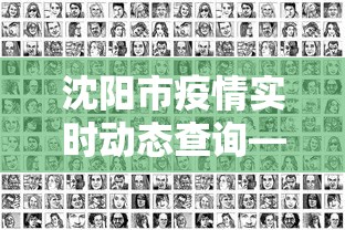 沈阳市疫情实时动态查询—(沈阳市疫情进展) 沈阳市疫情实时动态查询—(沈阳市疫情进展)
