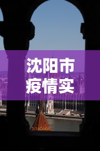 沈阳市疫情实时动态查询—（沈阳市疫情进展）