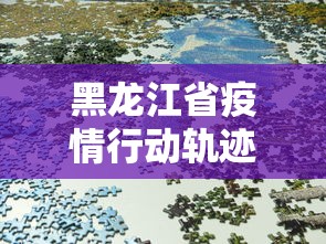黑龙江省疫情行动轨迹图：黑龙江省疫情进展情况