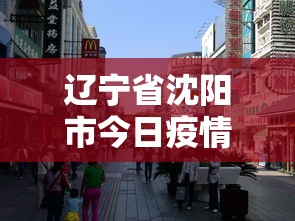 辽宁省沈阳市今日疫情—（辽宁省沈阳市疫情报告）