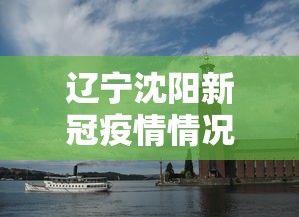 辽宁沈阳新冠疫情情况—（辽宁沈阳疫情情况新增）