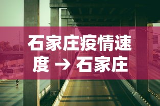 石家庄疫情速度 → 石家庄疫情情况怎么样了?