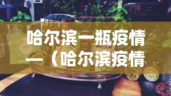 哈尔滨一瓶疫情—（哈尔滨疫情又增一例）
