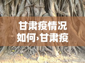 甘肃疫情况如何›甘肃疫情如何?