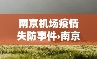 南京机场疫情失防事件›南京机场防疫失误事出有因