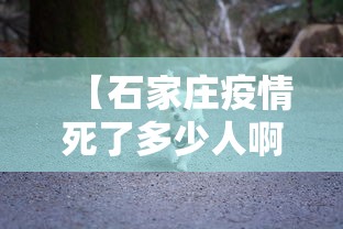 【石家庄疫情死了多少人啊·石家庄疫情死了多少人啊最新消息】 【石家庄疫情死了多少人啊·石家庄疫情死了多少人啊最新消息】