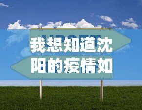 我想知道沈阳的疫情如何›沈阳市的疫情怎么样