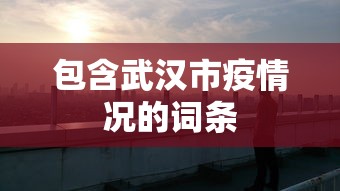 包含武汉市疫情况的词条