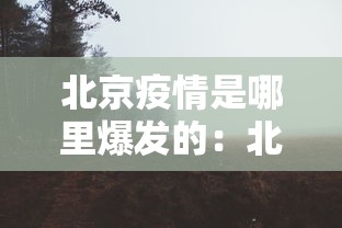 北京疫情是哪里爆发的：北京疫情从哪里爆发的