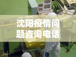 沈阳疫情问题咨询电话›沈阳疫情问题咨询电话号码