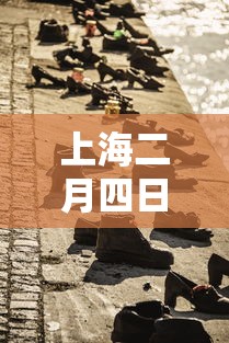上海二月四日新增疫情：上海2月3日新增病例情况