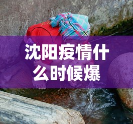 沈阳疫情什么时候爆发:沈阳这波疫情什么时候开始的 沈阳疫情什么时候爆发:沈阳这波疫情什么时候开始的