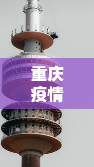 重庆疫情动态图最新—（重庆疫情图表）