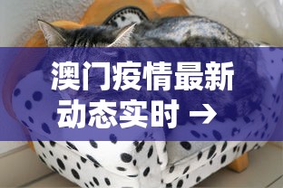 澳门疫情最新动态实时 → 澳门疫情最新动态实时情况 澳门疫情最新动态实时 → 澳门疫情最新动态实时情况