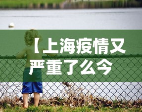 【上海疫情又严重了么今天,上海役情严重吗】