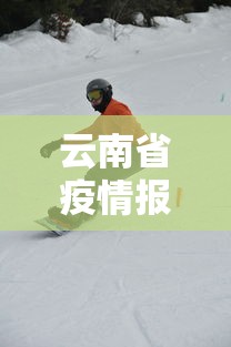 云南省疫情报告实时动态›云南省疫情通报