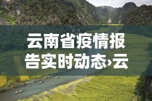云南省疫情报告实时动态›云南省疫情通报