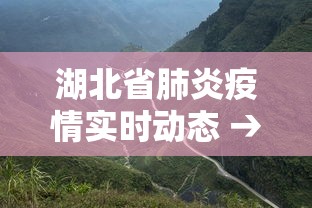 湖北省肺炎疫情实时动态 → 湖北肺炎最新进展疫情