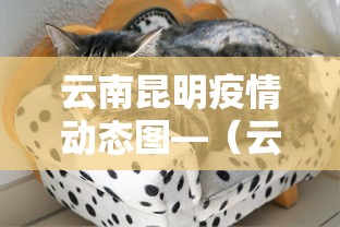 云南昆明疫情动态图—(云南昆明新型肺炎疫情实时动态) 云南昆明疫情动态图—(云南昆明新型肺炎疫情实时动态)
