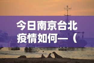 今日南京台北疫情如何—（今天南京疫情最新发布会）