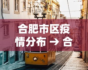 合肥市区疫情分布 → 合肥市疫情风险等级分布图