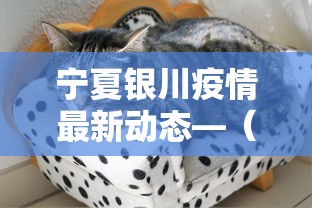 宁夏银川疫情最新动态—(宁夏银川疫情最新动态今天) 宁夏银川疫情最新动态—(宁夏银川疫情最新动态今天)