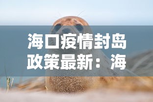 海口疫情封岛政策最新：海口疫情封岛政策最新规定