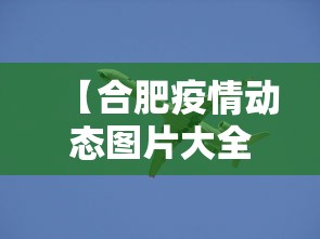 【合肥疫情动态图片大全,合肥疫情地图及实时播报】