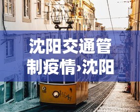 沈阳交通管制疫情›沈阳疫情交通管制了吗