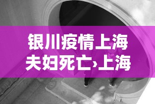 银川疫情上海夫妇死亡›上海夫妇疫情溯源