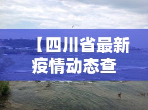 【四川省最新疫情动态查询,疫情最新消息今天四川省疫情最新消息】